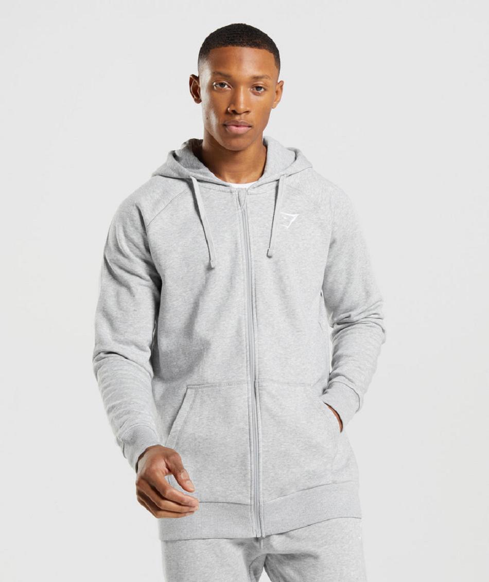 Sudadera Con Capucha Gymshark Crest Zip Up Hombre Gris Claro | CO 3600MQZ